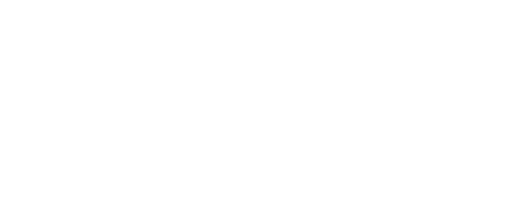 Libélula